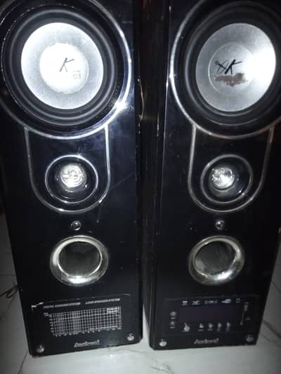 Audionic pair speakers