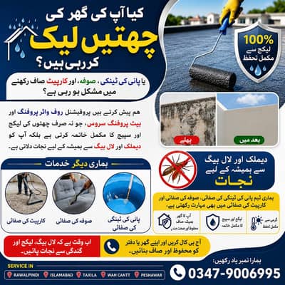 Termite proofing & Dengue Mosquito Fogger spray/Roof Heat Proofing