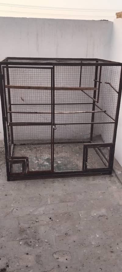 parot cage