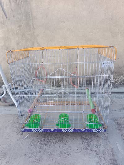 Birds Cage
