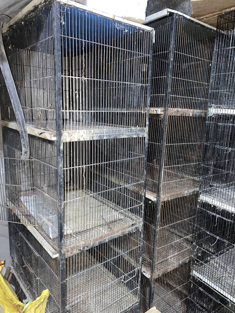 Cage 4 portion 2