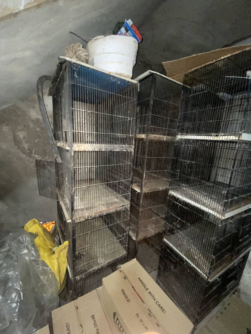 Cage 4 portion 4