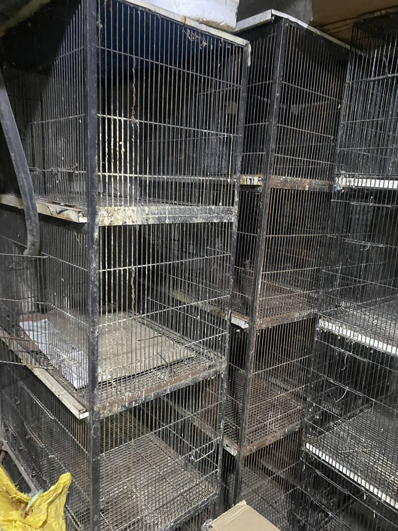 Cage 4 portion 6