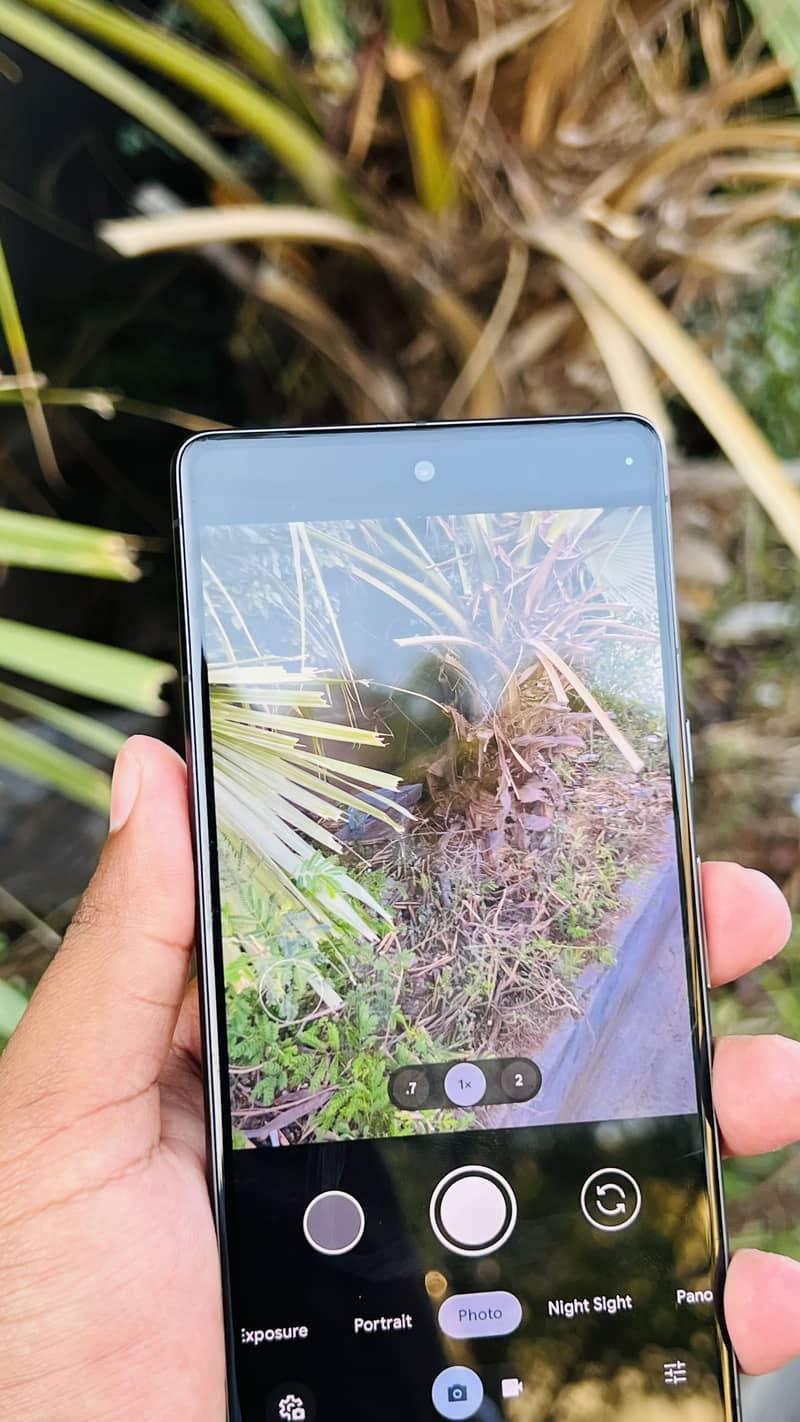 Google Pixel 7 7