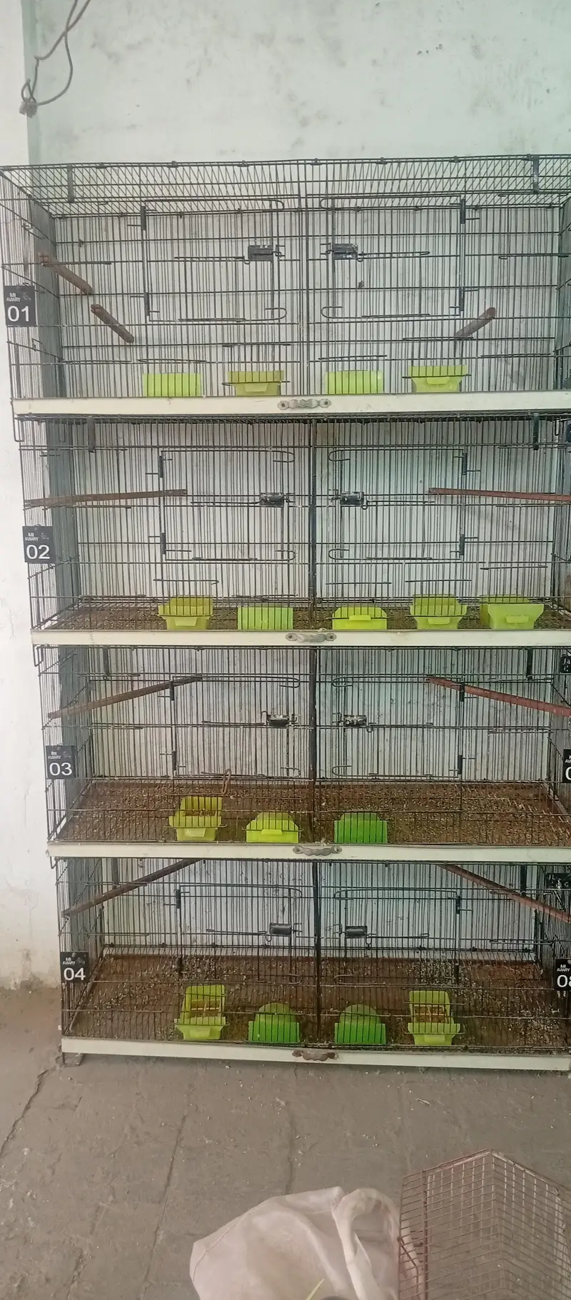love birds cage