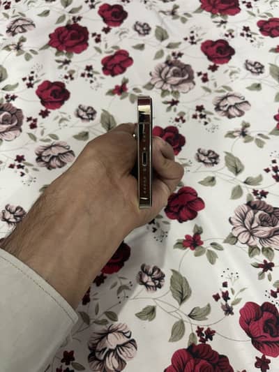 Apple iPhone 13 Pro