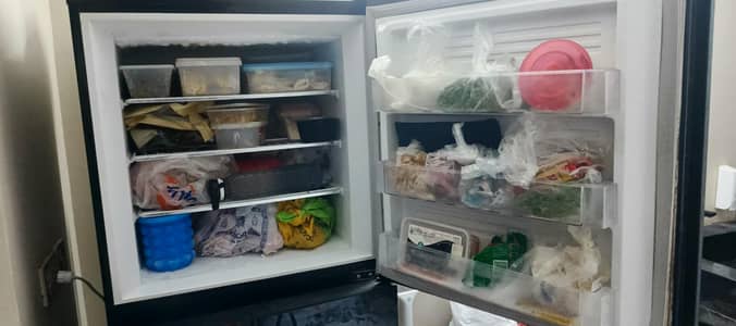 Pel Inverter Refrigerator