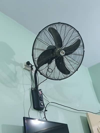 big fan