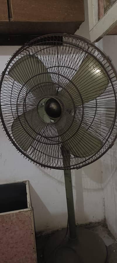 padeatal fan