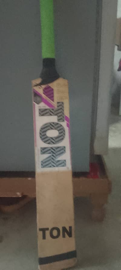 English villow bat since in 1969