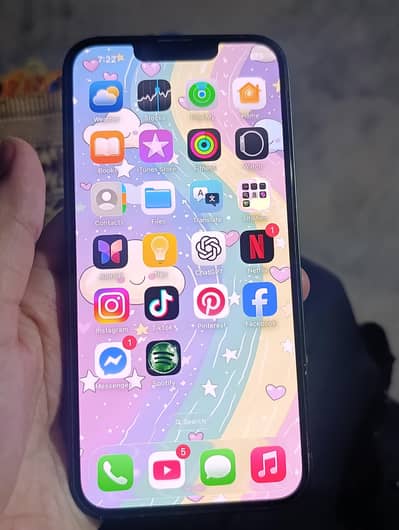 Apple iPhone 13