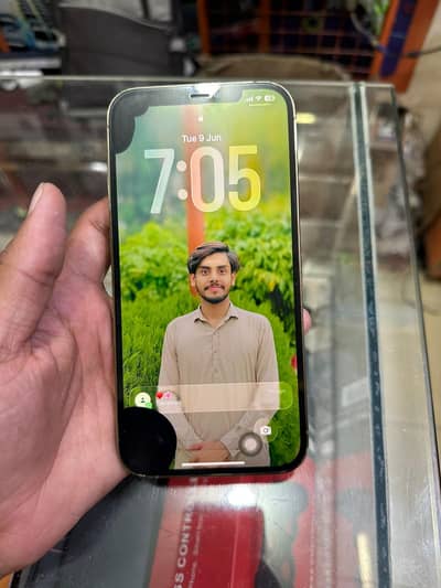 Apple iPhone 12 Pro Max 256gb panel dead 03245780980
