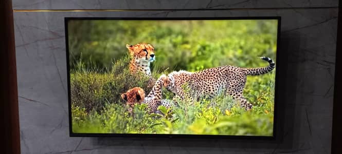 TCL L55P65US 4K UHD Smart Android Television 55Inch