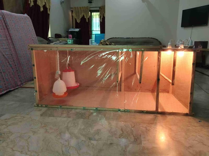 Brooder for chicks. 10