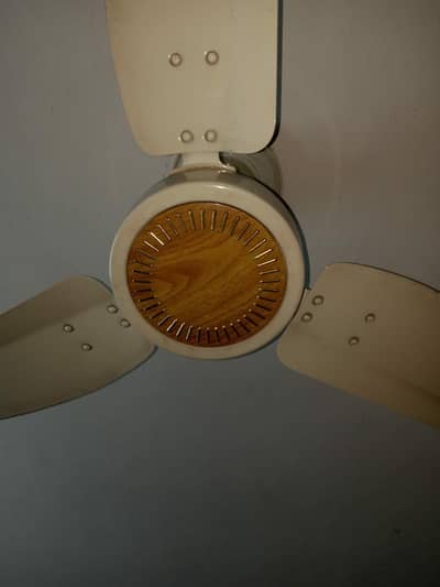 Royal Fan