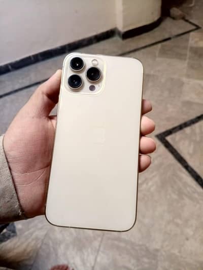Apple iPhone 13 Pro Max