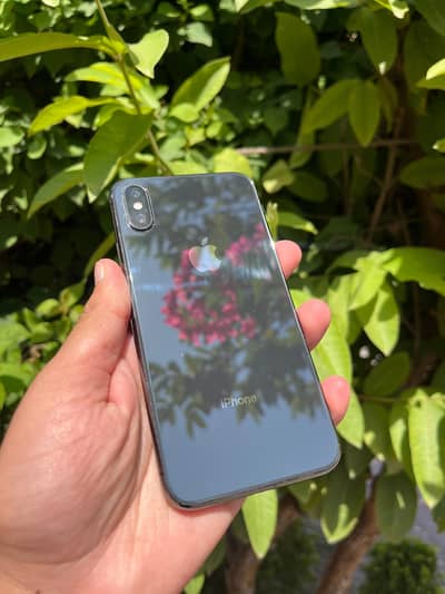 Apple iPhone X