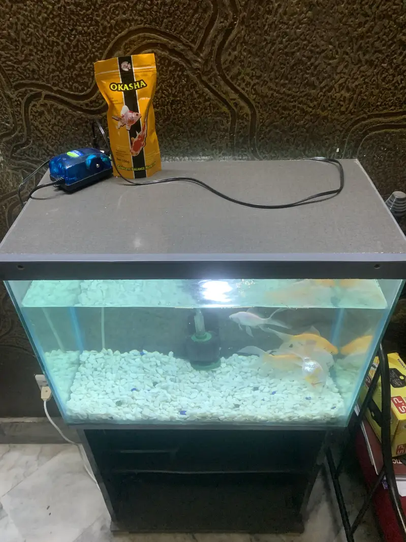 2Ft Fish Aquarium — photo 3