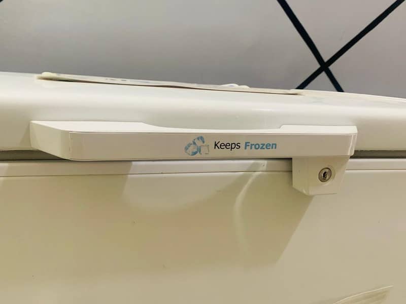 dee freezer 1