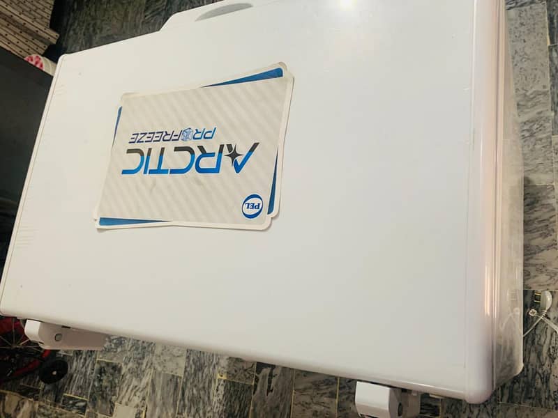 dee freezer 2