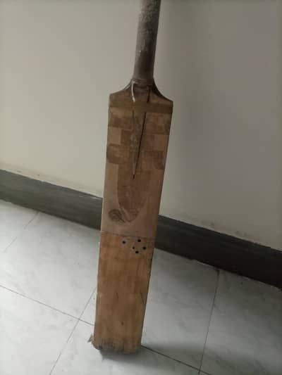 hardball bat with cricketers sign