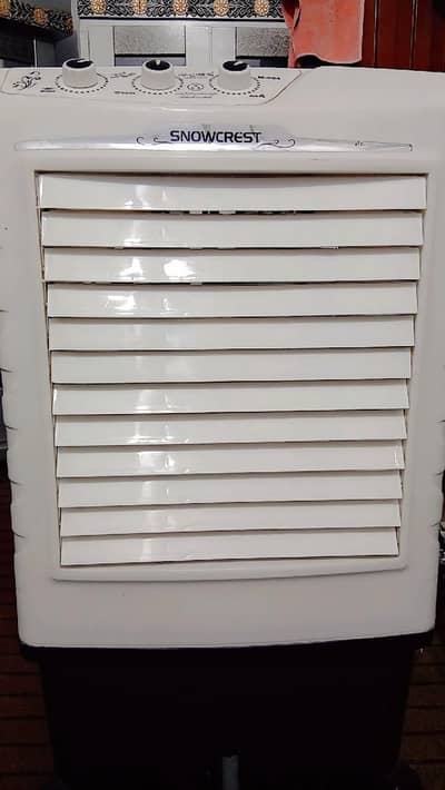 AC DC AIR COOLER