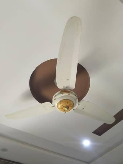 1 fan for royal  company and 4 fan is Mercedes  company