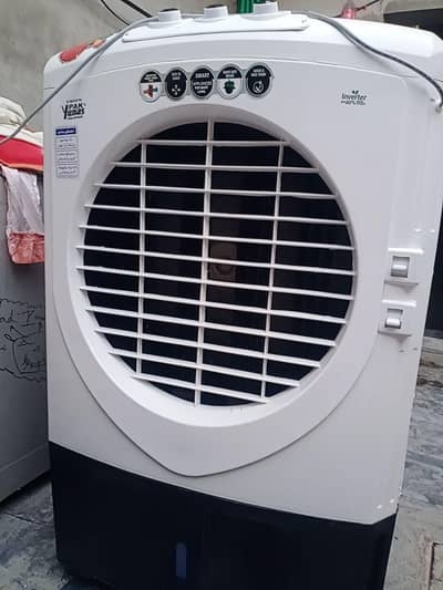 Best Cooler Offer