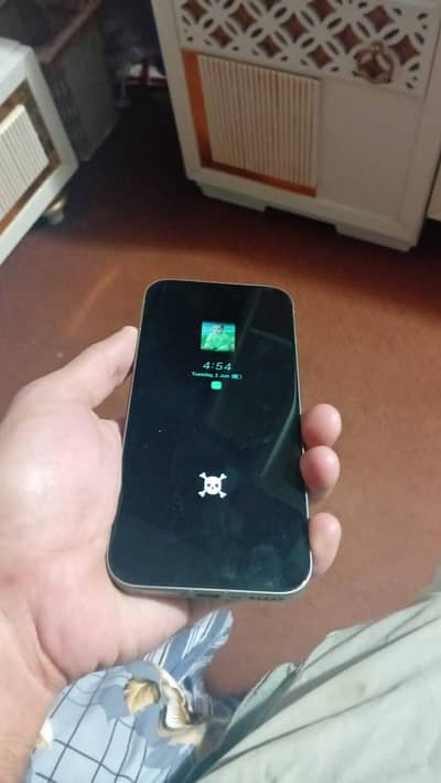 Vivo V70 5G 12+12=512Gb Ram