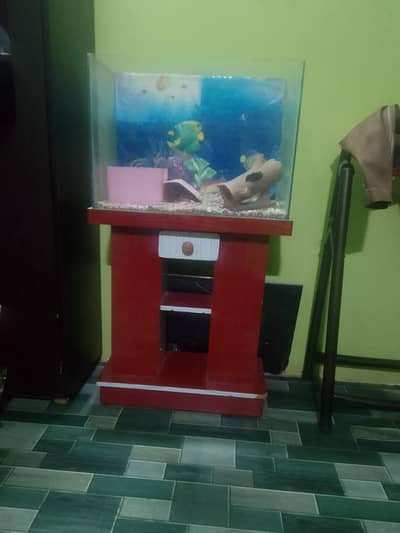 aquarium