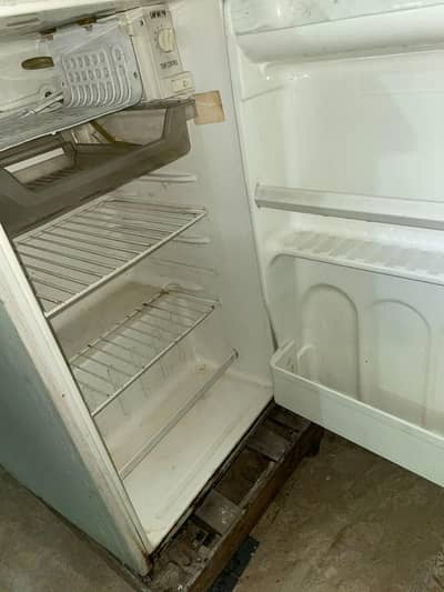 mini fridge single door