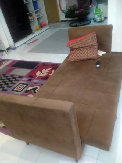 Sofa cum bed and one single bed