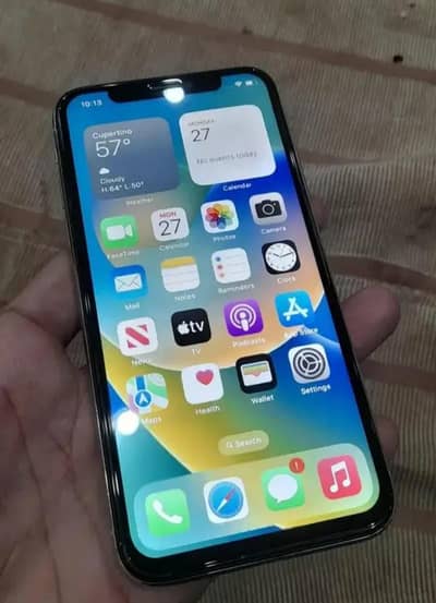 Apple iPhone X