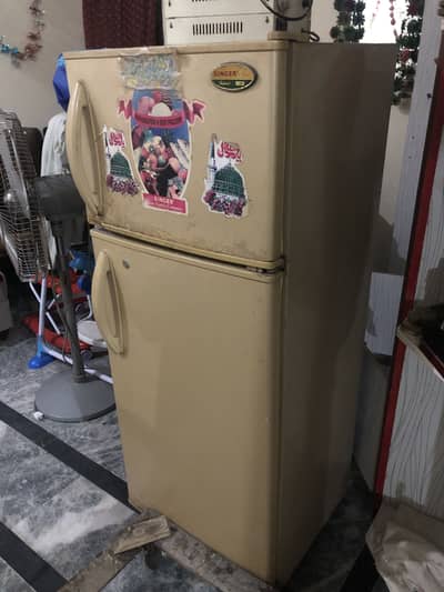 Fridge singer