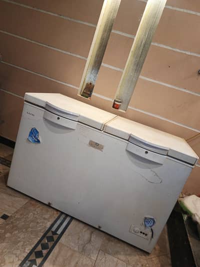 FREEZER 10/10