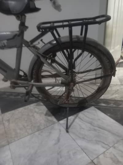 thunder bicycle