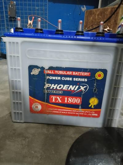 phoenix 1800 Tall Tubular  (Excellent Condition)