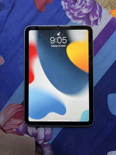 iPad mini 6th generation 256Gb