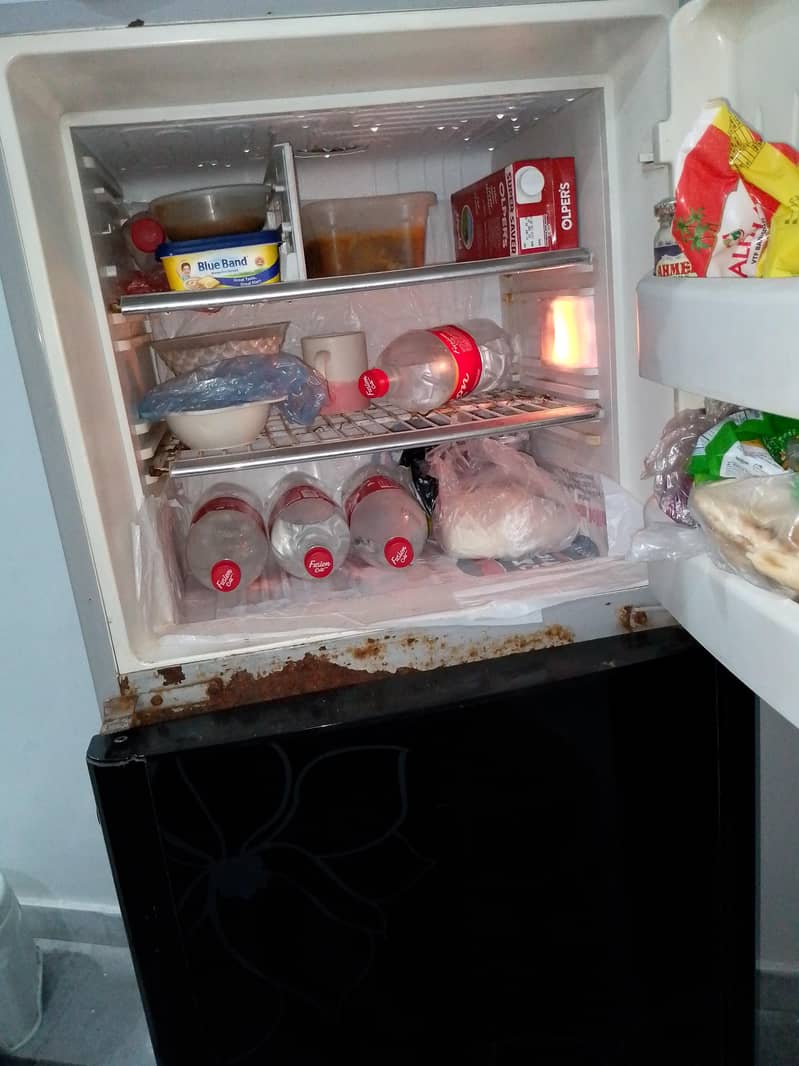 Orient fridge 10