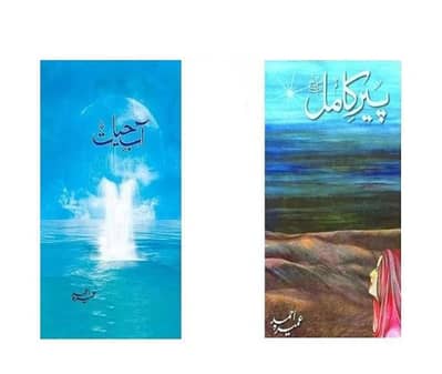 Abe Hahat or Peer e Kamil by ( Umera Ahmed )