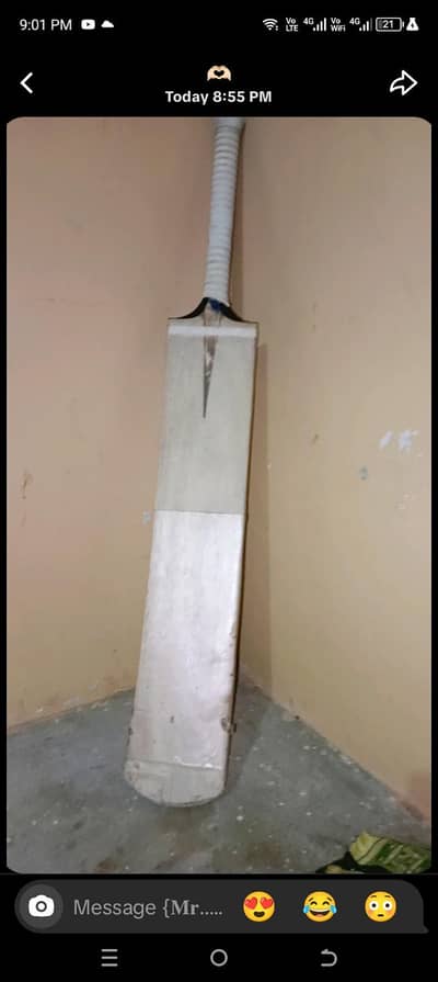 FB SPORTS BAT