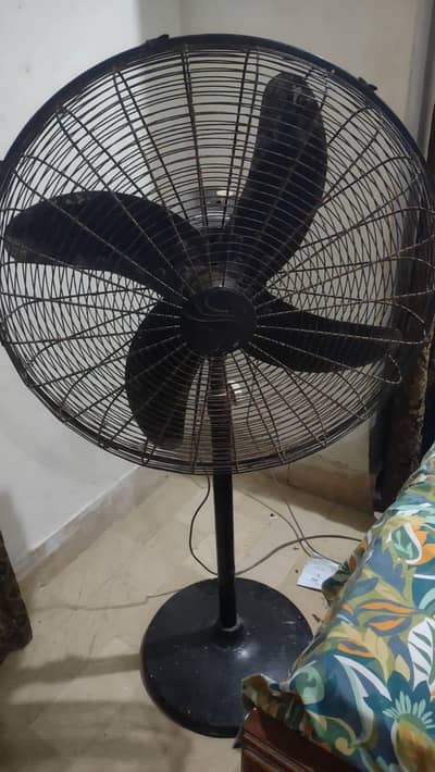 Pedestal Fan