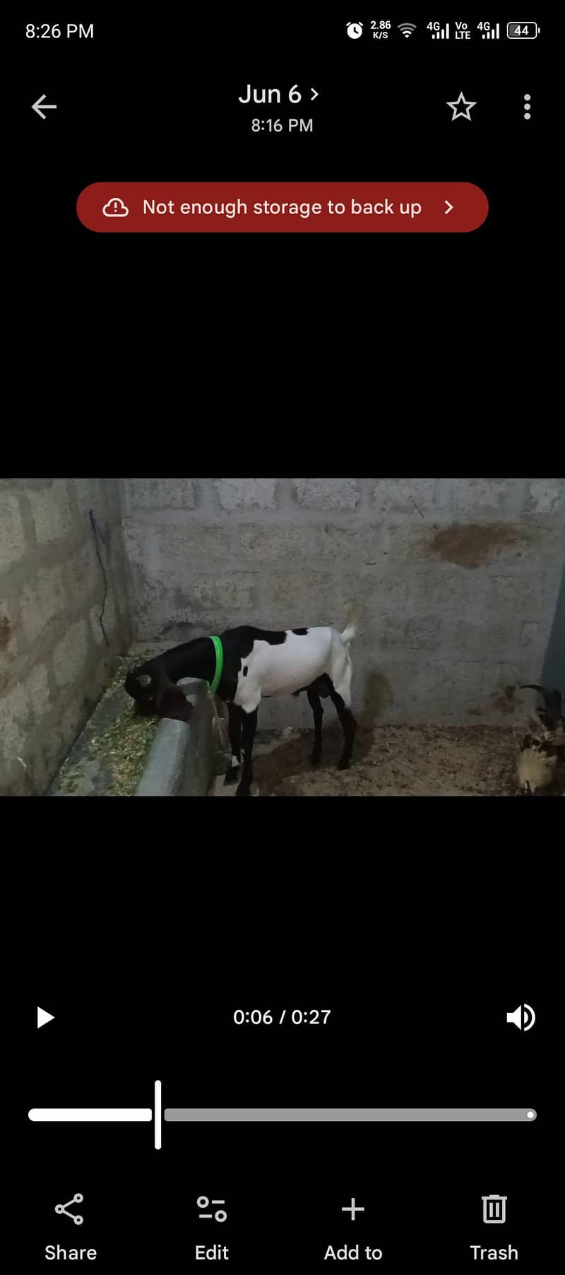 bakra 4