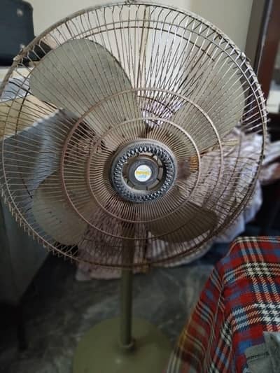 Royal Stand Fan
