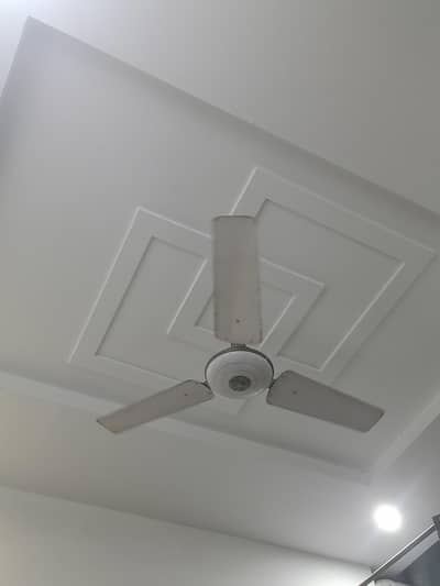 Used Fan,Royal fan