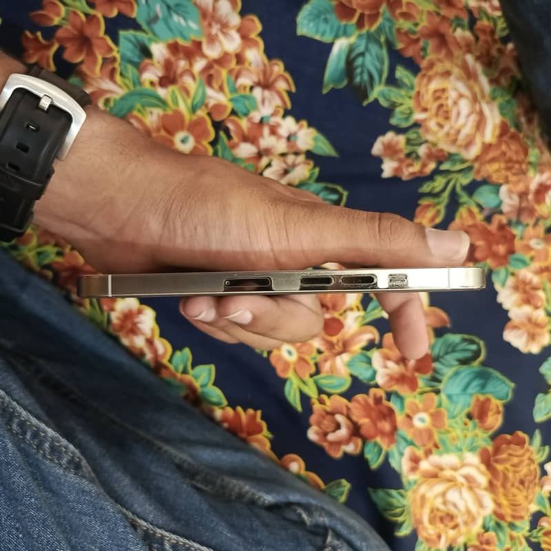 Apple iPhone 13 Pro 2