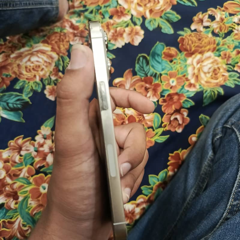 Apple iPhone 13 Pro 4