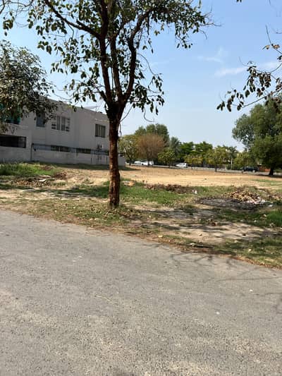 Premium Plot Unbelievable Price Exceptional Opportunity Low Budget For Sale