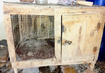 Hens cage Available