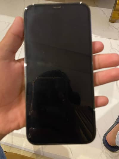 Apple iPhone 12 Pro Max